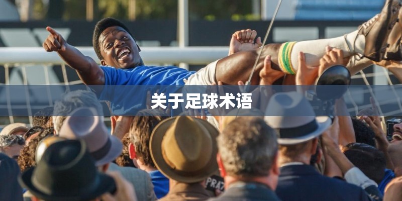 关于足球术语 关于足球术语