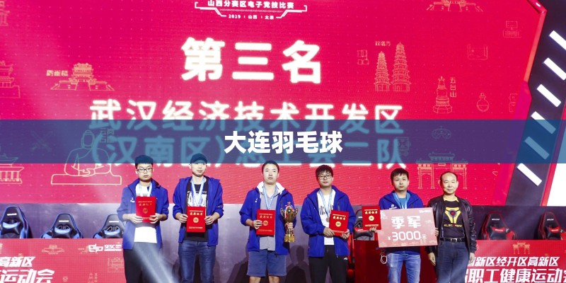 大连羽毛球