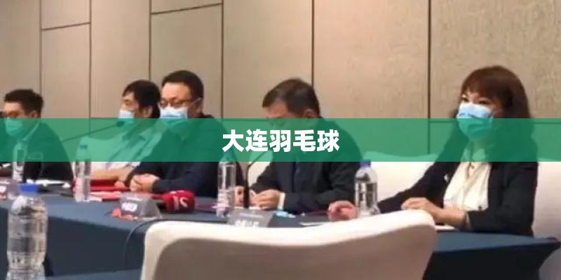 大连羽毛球