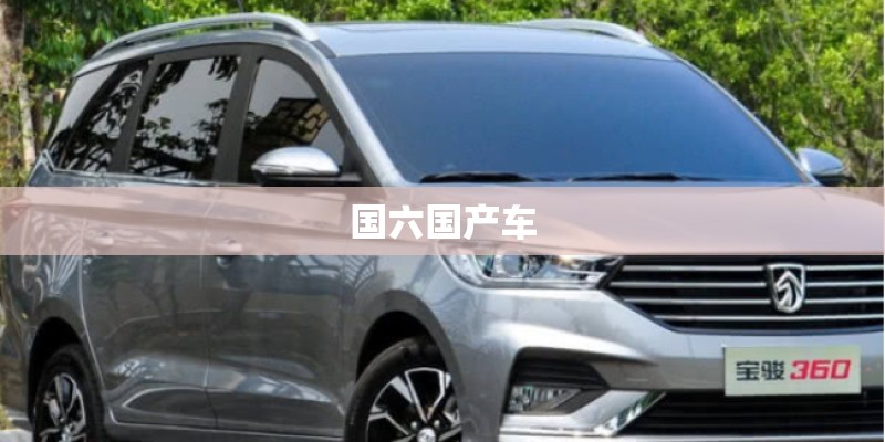 国六国产车 国六国产车