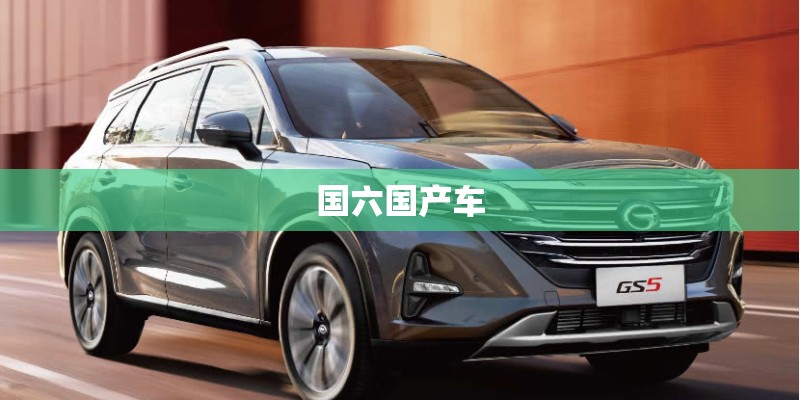 国六国产车