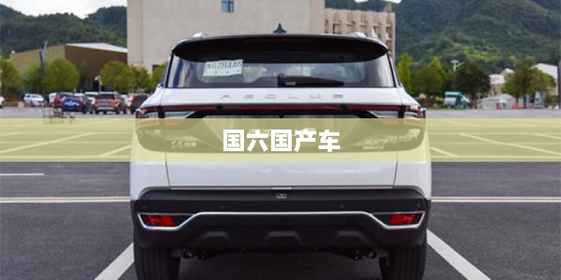 国六国产车 国六国产车