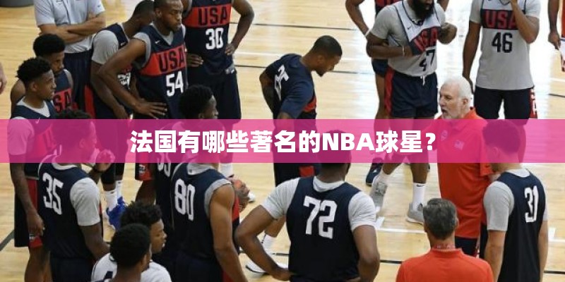 法国有哪些著名的NBA球星？