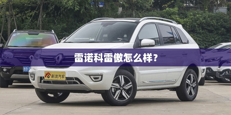 雷诺科雷傲怎么样？