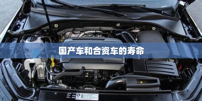 国产车和合资车的寿命