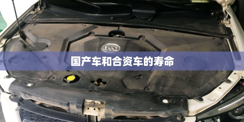 国产车和合资车的寿命