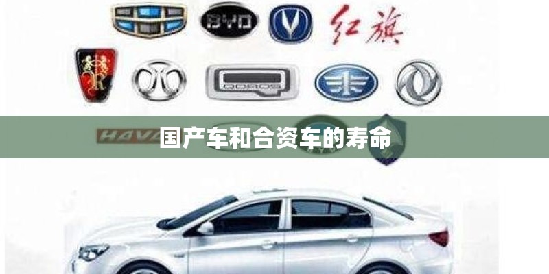 国产车和合资车的寿命