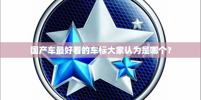 国产车最好看的车标大家认为是哪个？
