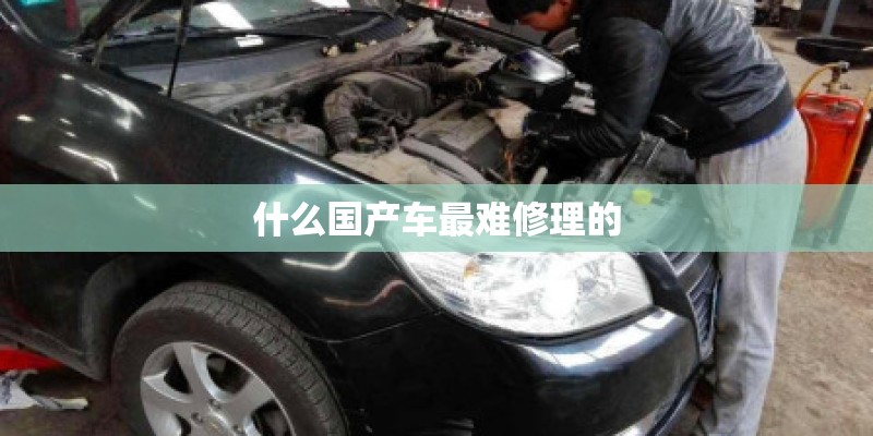 什么国产车最难修理的