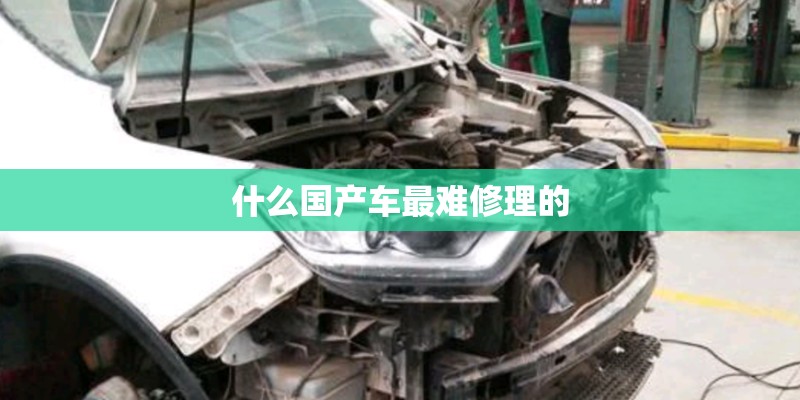 什么国产车最难修理的