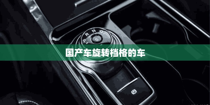 国产车旋转档格的车