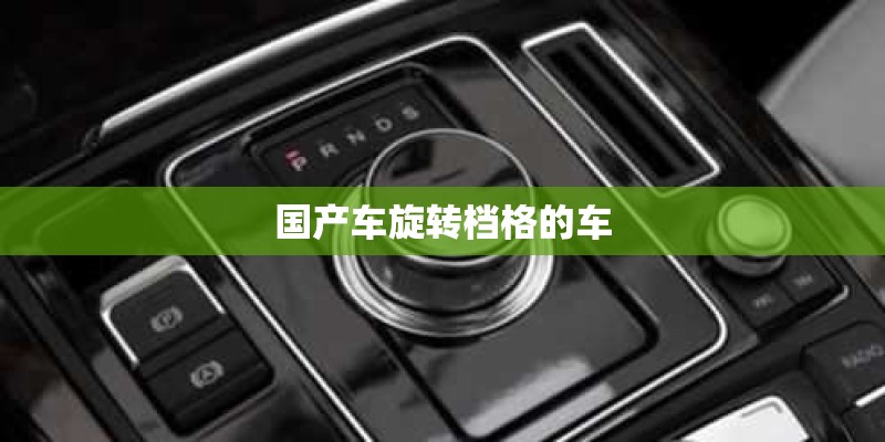 国产车旋转档格的车