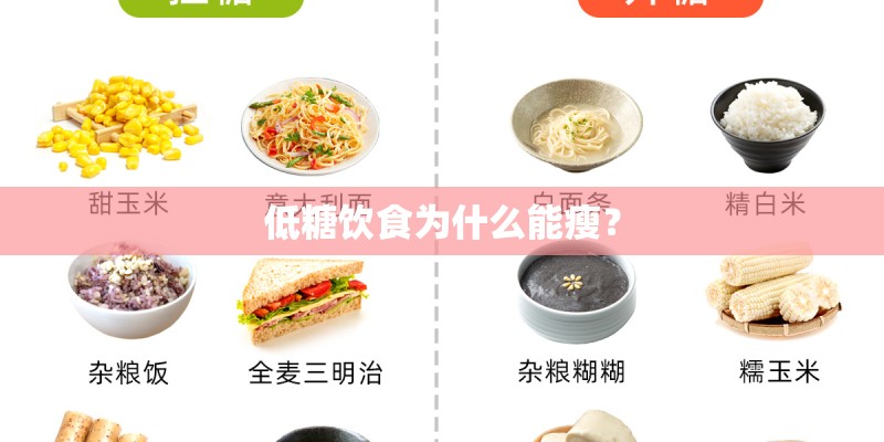 低糖饮食为什么能瘦？