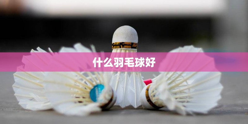 什么羽毛球好