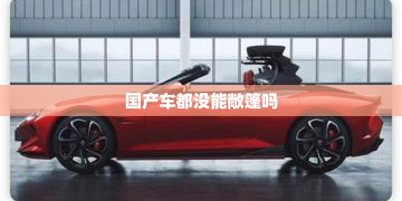 国产车都没能敞篷吗