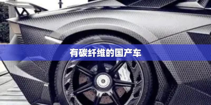 有碳纤维的国产车