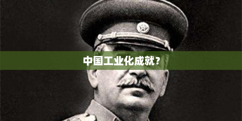 中国工业化成就？