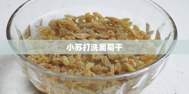 小苏打洗葡萄干