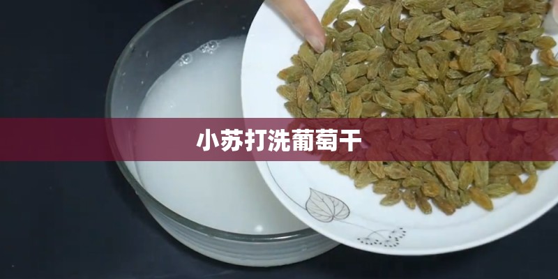 小苏打洗葡萄干