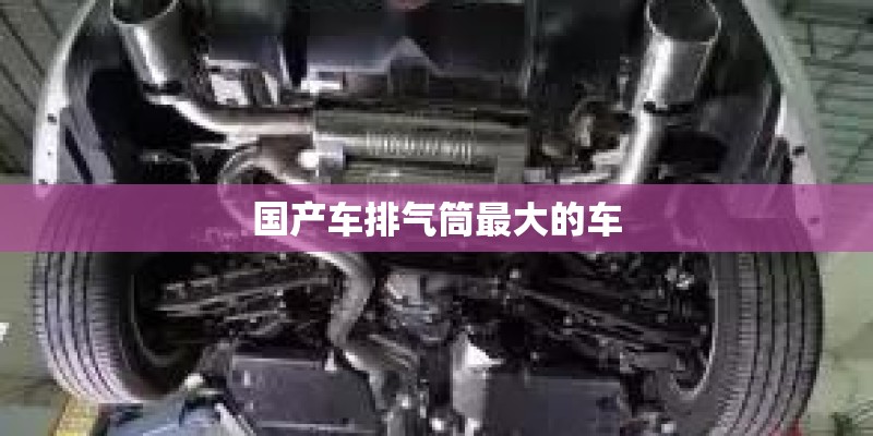国产车排气筒最大的车