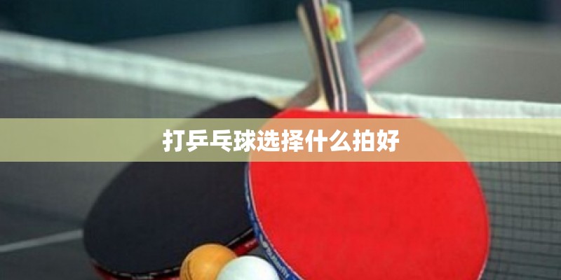 打乒乓球选择什么拍好