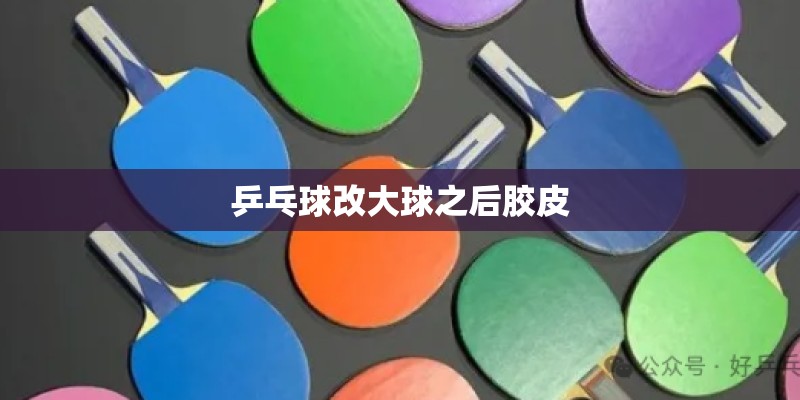 乒乓球改大球之后胶皮