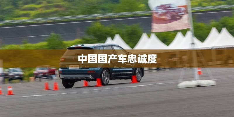 中国国产车忠诚度