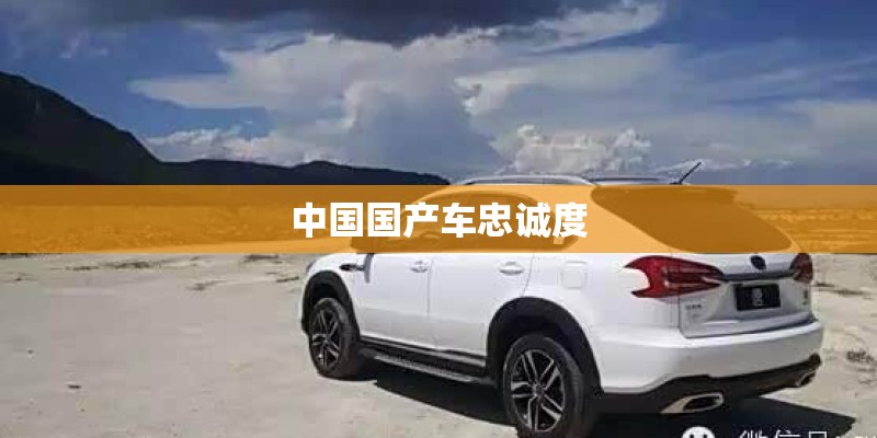 中国国产车忠诚度
