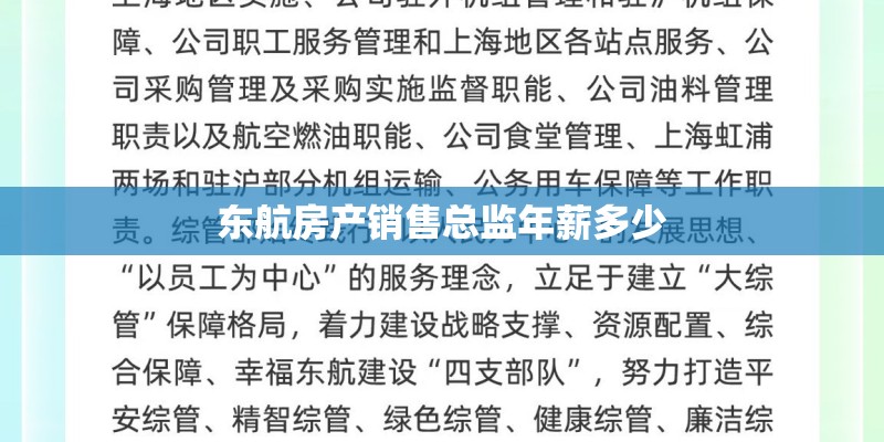 东航房产销售总监年薪多少