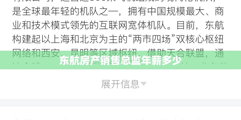 东航房产销售总监年薪多少