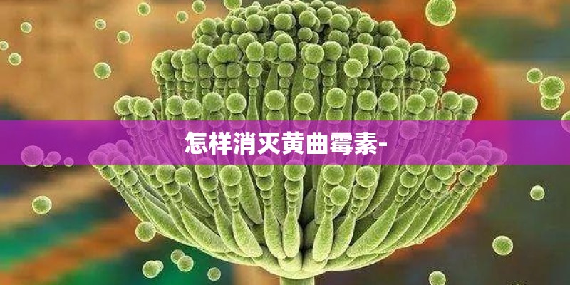 怎样消灭黄曲霉素-