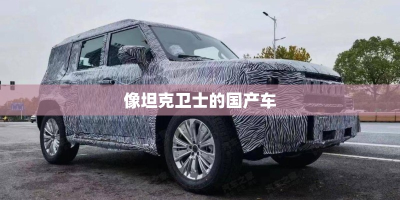 像坦克卫士的国产车