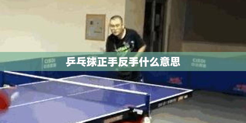 乒乓球正手反手什么意思