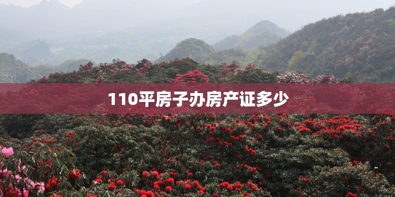 110平房子办房产证多少