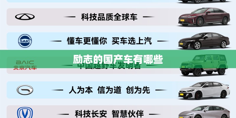 励志的国产车有哪些