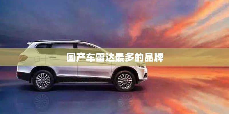 国产车雷达最多的品牌