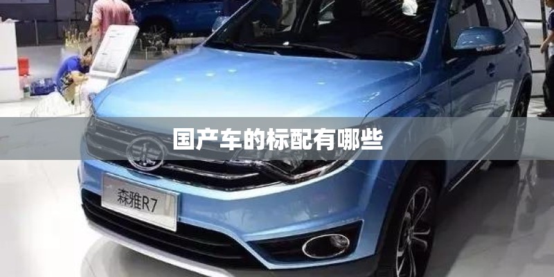 国产车的标配有哪些