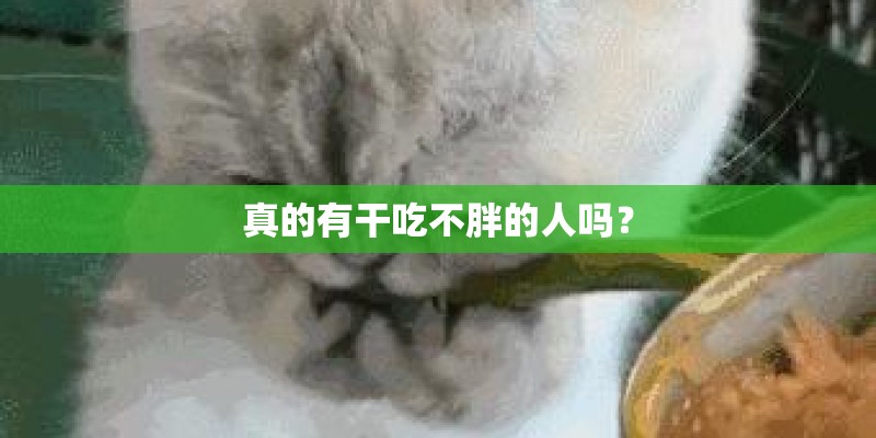 真的有干吃不胖的人吗？
