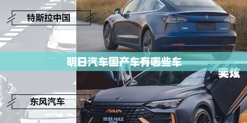 牡丹鹦鹉宝宝该怎么照顾
