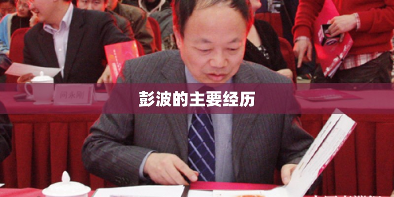 彭波的主要经历