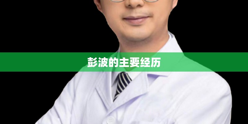 彭波的主要经历