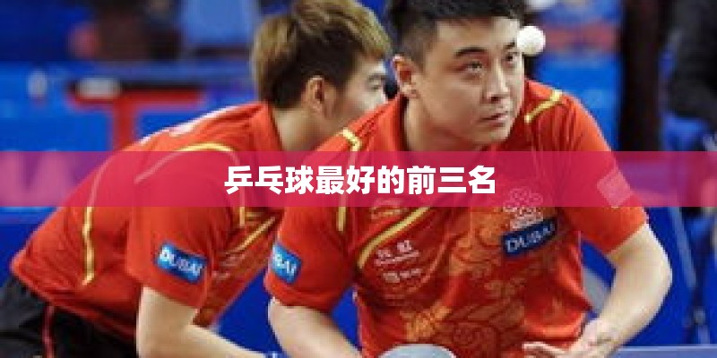 乒乓球最好的前三名