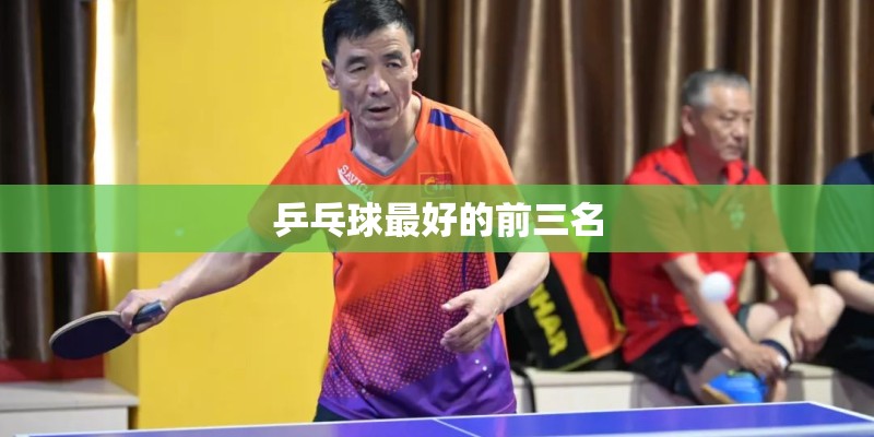 乒乓球最好的前三名