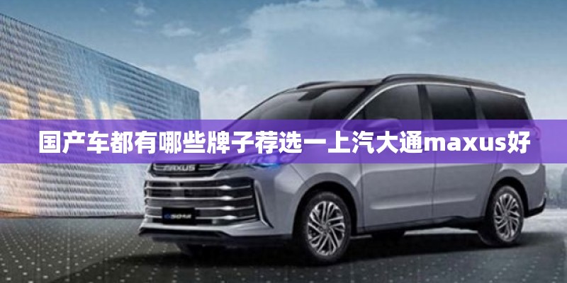 国产车都有哪些牌子荐选一上汽大通maxus好