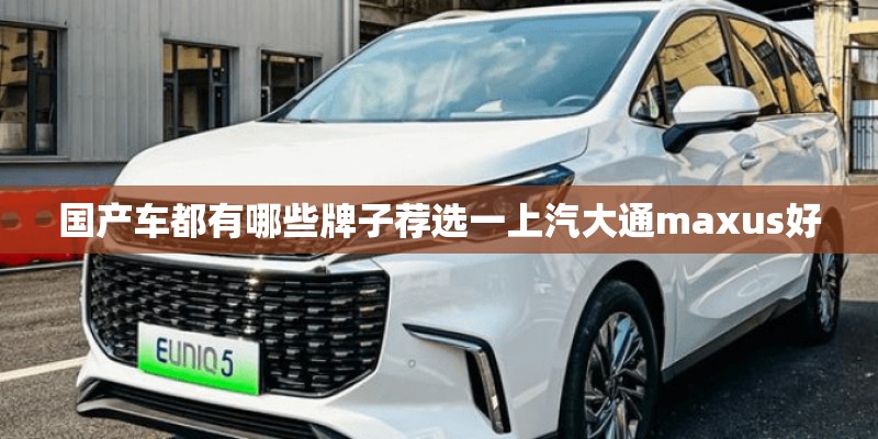 国产车都有哪些牌子荐选一上汽大通maxus好