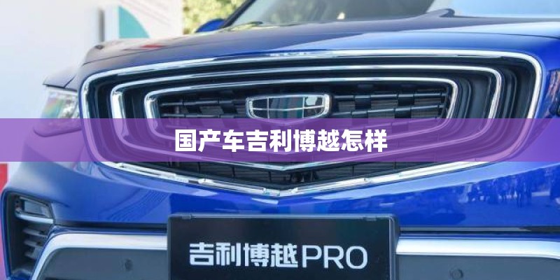 国产车吉利博越怎样