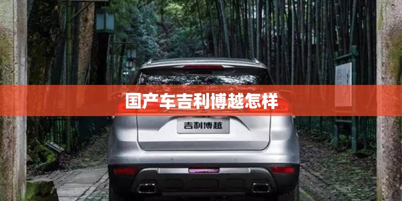 国产车吉利博越怎样