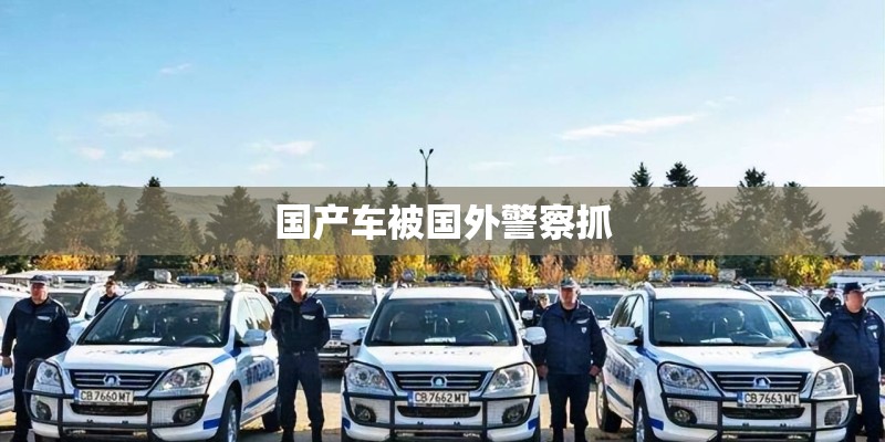 国产车被国外警察抓