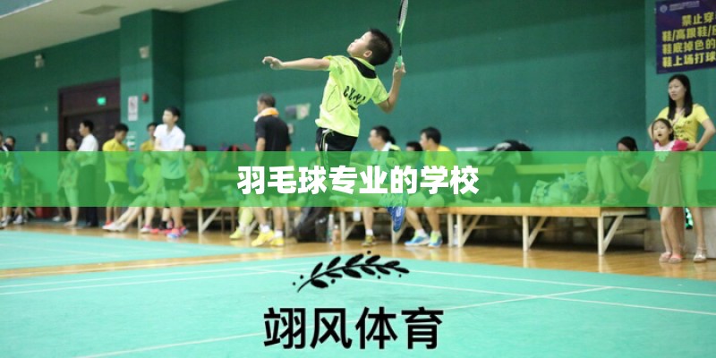 羽毛球专业的学校