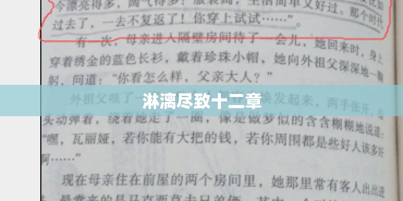 淋漓尽致十二章